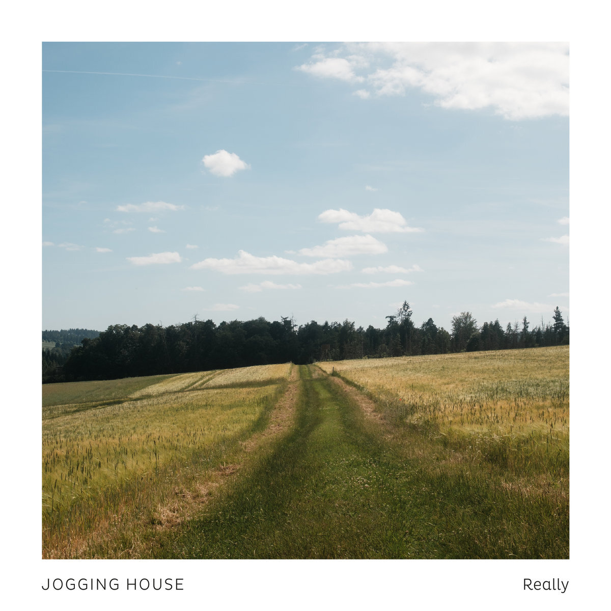 Jogging House - Really